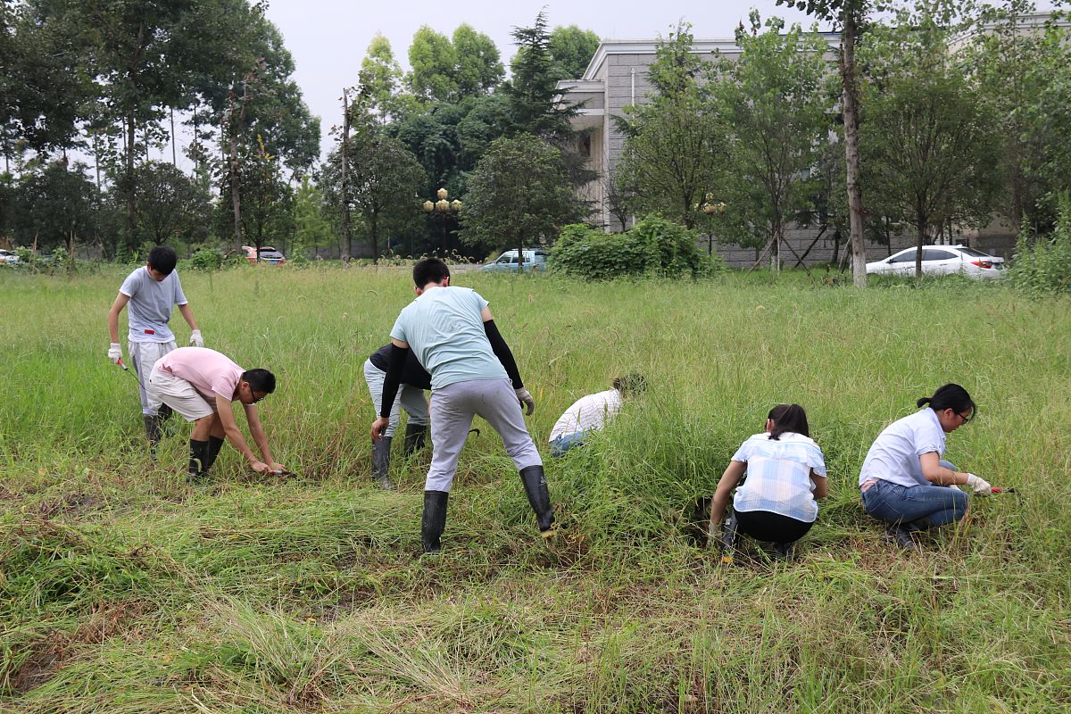 成都机电工程学院招生要求 - 入学条件及专业介绍