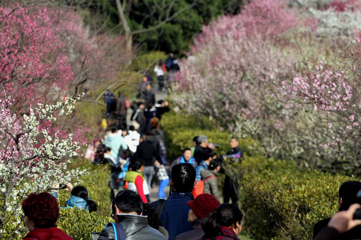 清明节踏青：高中生视角下的春日赏景与放松