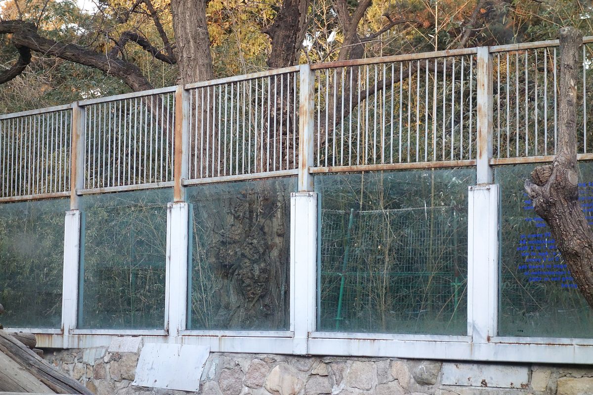 防涂料施工评定指南：如何写好评定报告？