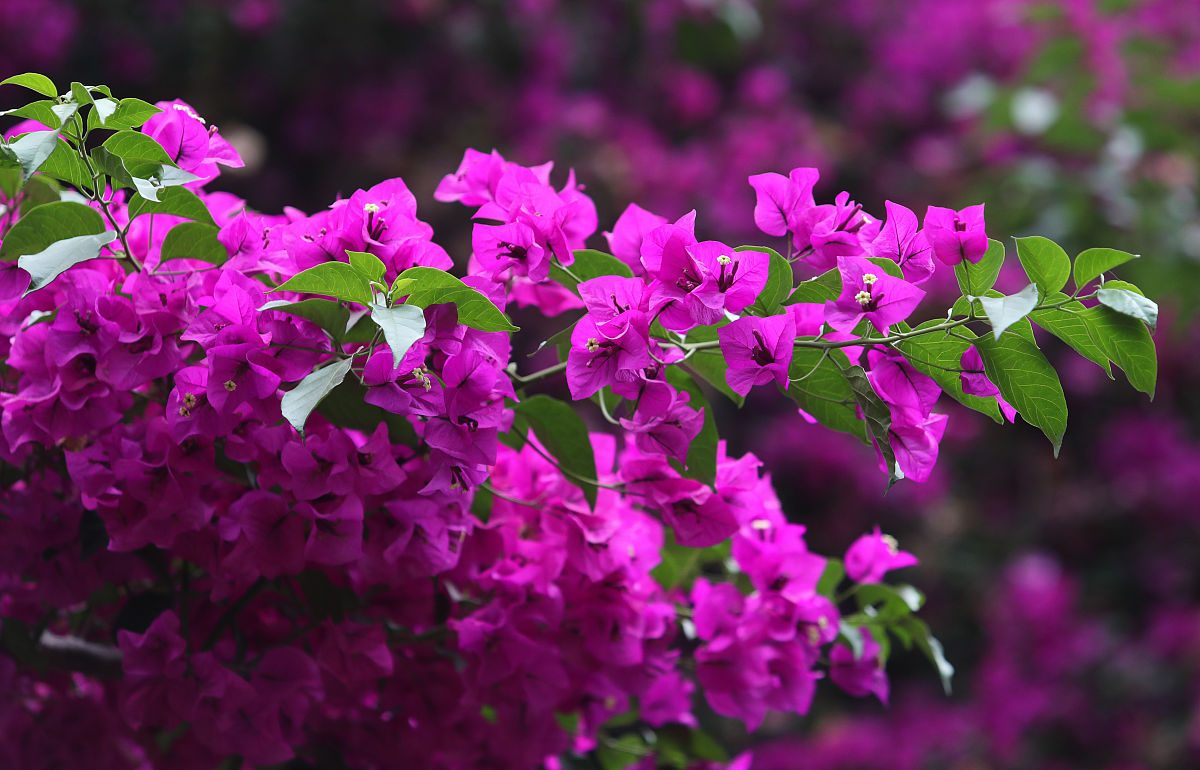 昆明卫校2021年怎么样？教学设施都有哪些提升？