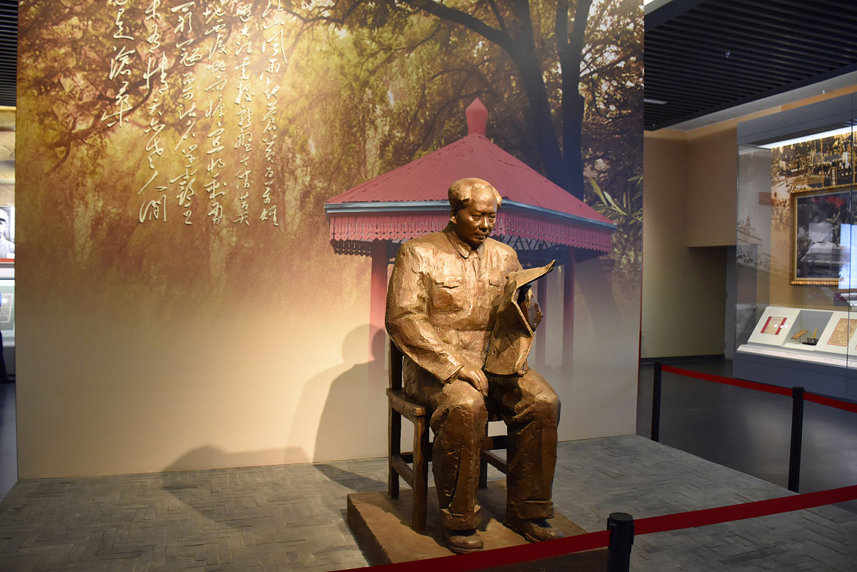 长方形土地面积计算：3公顷等于多少平方米？