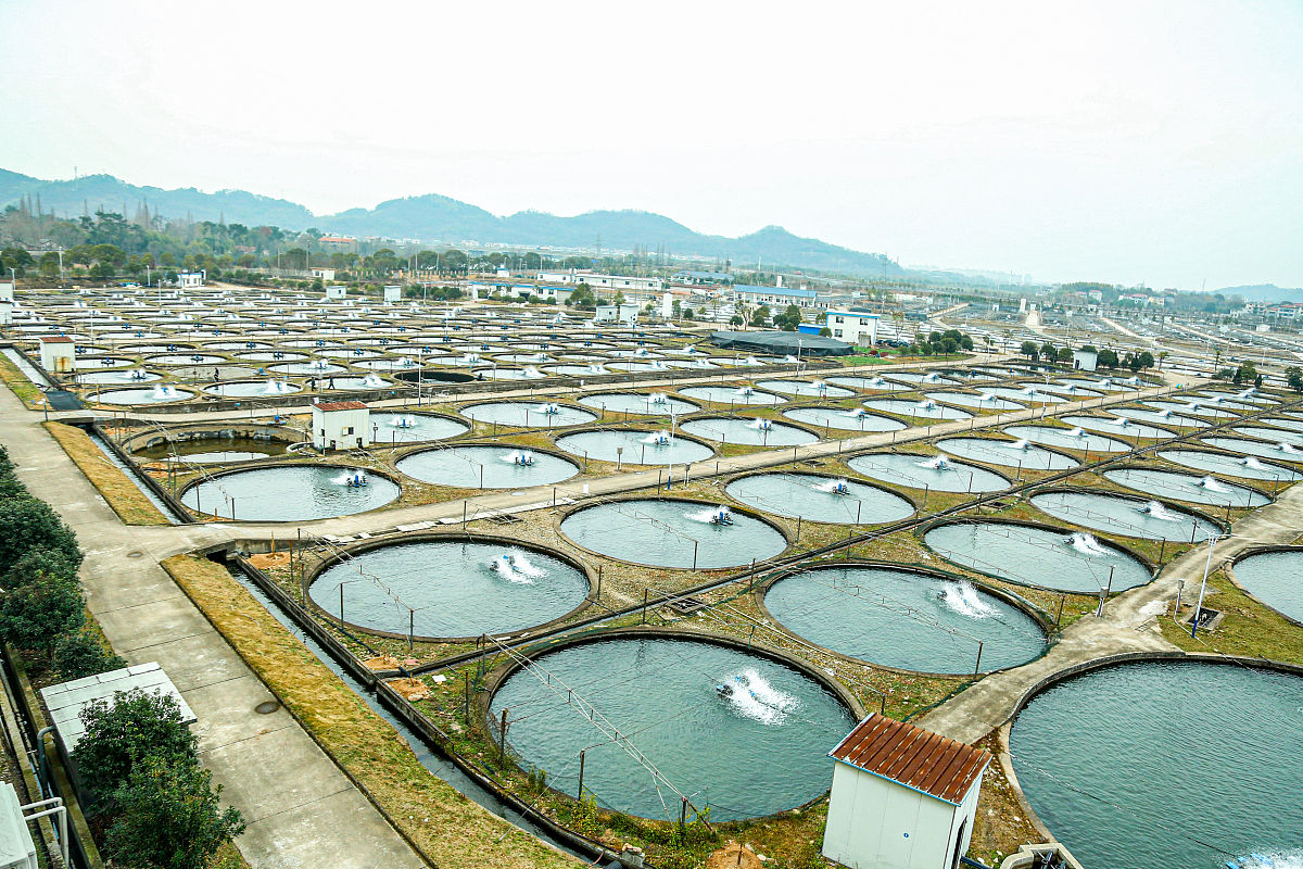 我希望你扮演一个投资人的角色你有现金300万和一个鱼类食品加工厂你准备投资一个渔场他有完善的养殖设施和优秀技术人员你准备投资80万用于养殖厂的基础设施建设通过获得优质的鱼产品来帮助你的鱼类食品加工厂的产品提升良好的品牌效应计划3年收回成本请出一份大致的投资方案2000字以内。