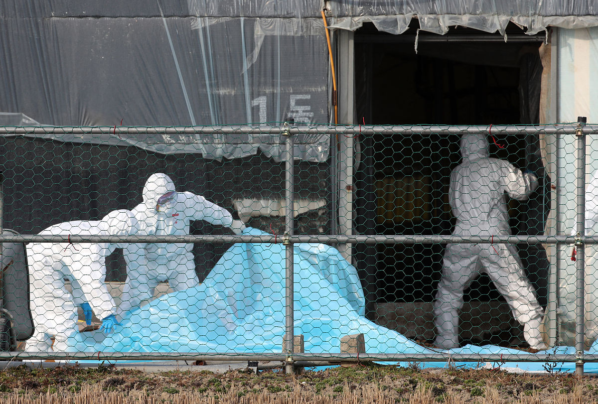 海洋牧场市场经济状况
