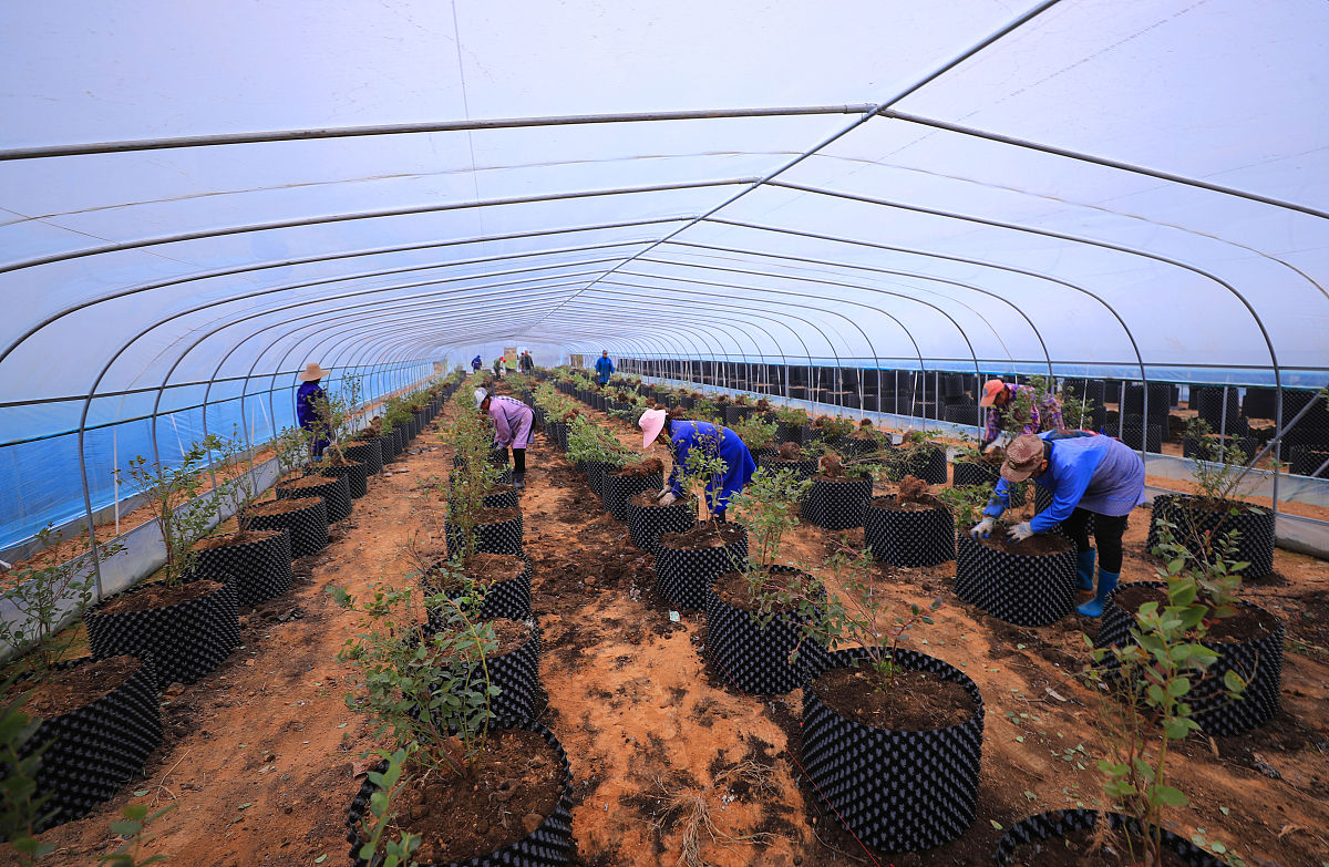 农产品物流合同的法律风险及防范措施