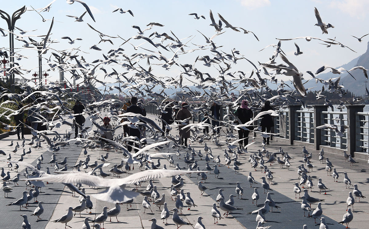 昆明市化工技工学校2022年招生条件是什么