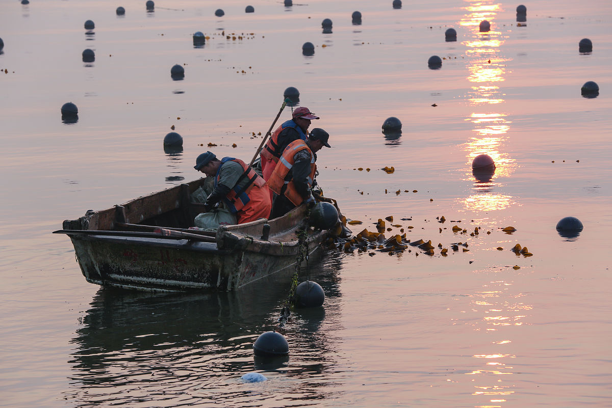 山东科技职业学院物流管理专业优势怎么样发展前景好不好呢