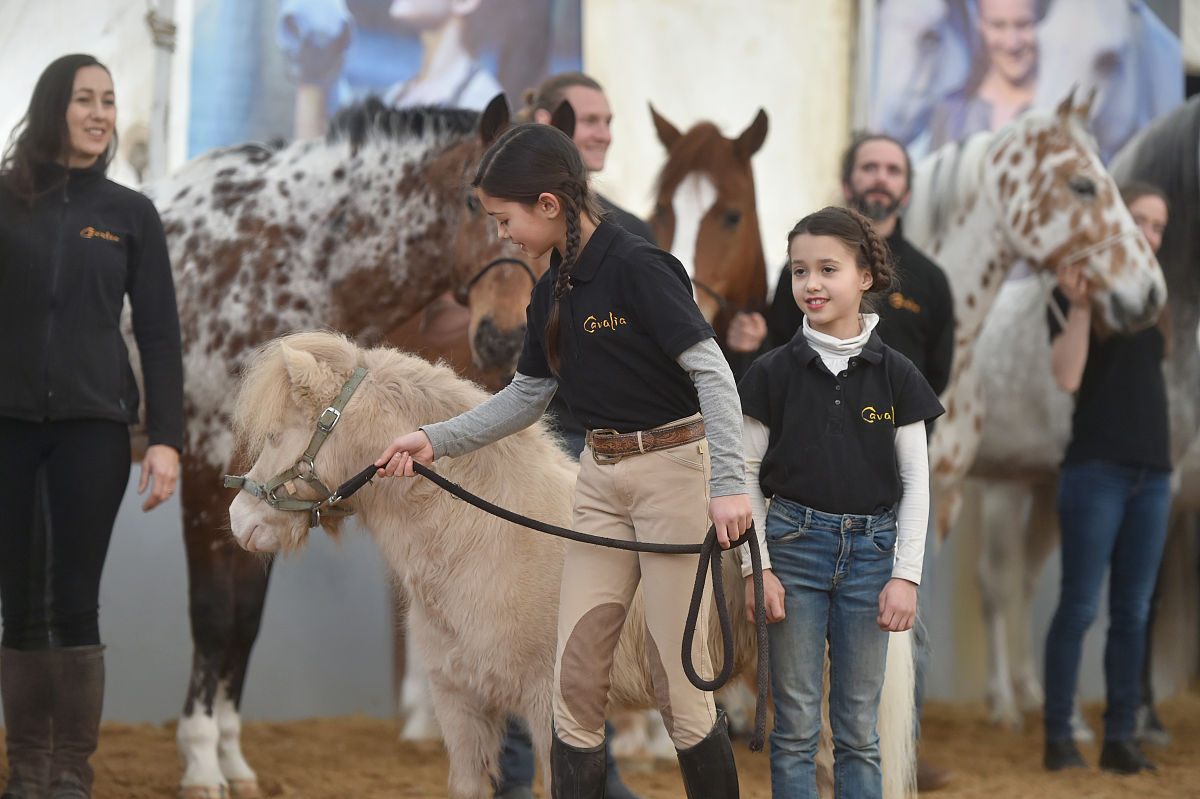 2018年2月7日,加拿大舞台秀《cavalia·舞马》在南京揭开神秘面纱,来