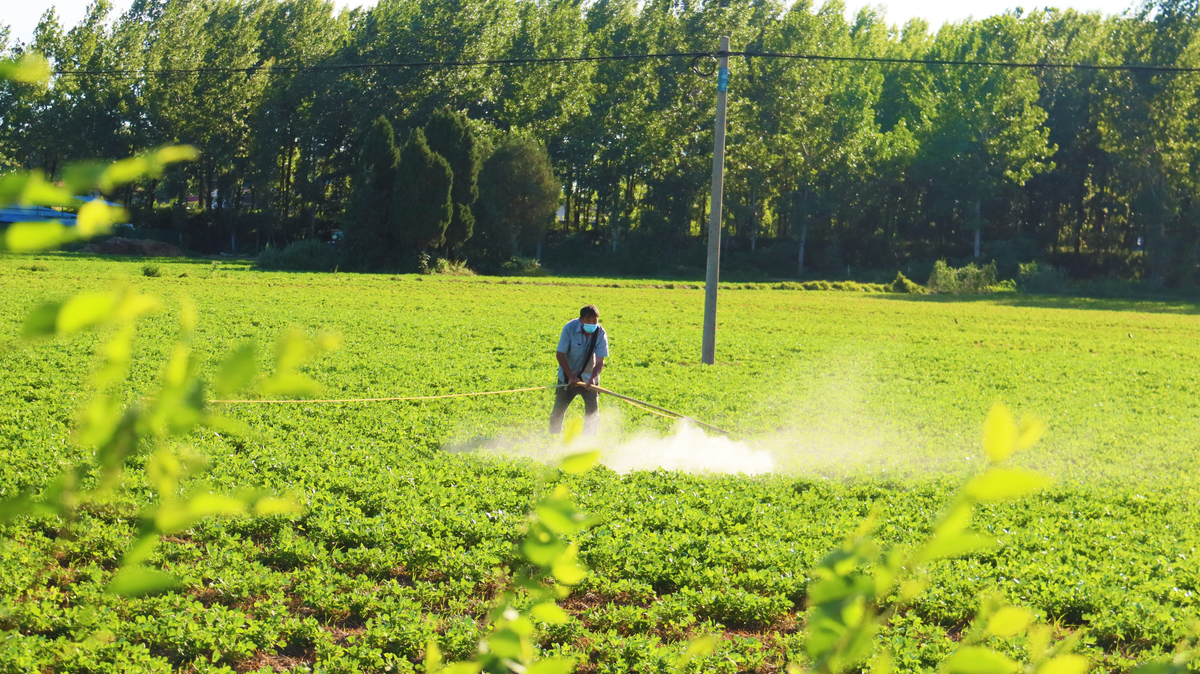 高效除草剂，让你的花园更美丽！