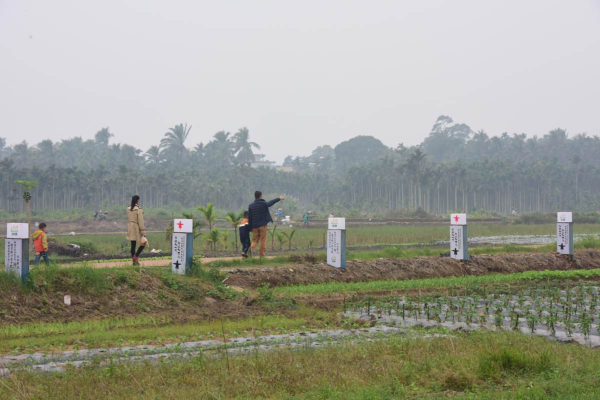 泸西县农业机械化技术学校教学发展