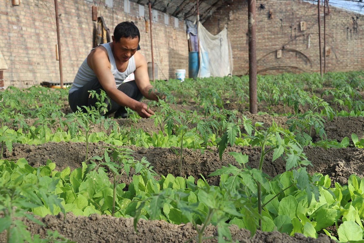 2023年凉山农业学校招生攻略：考试准备、学校特色及报名指南