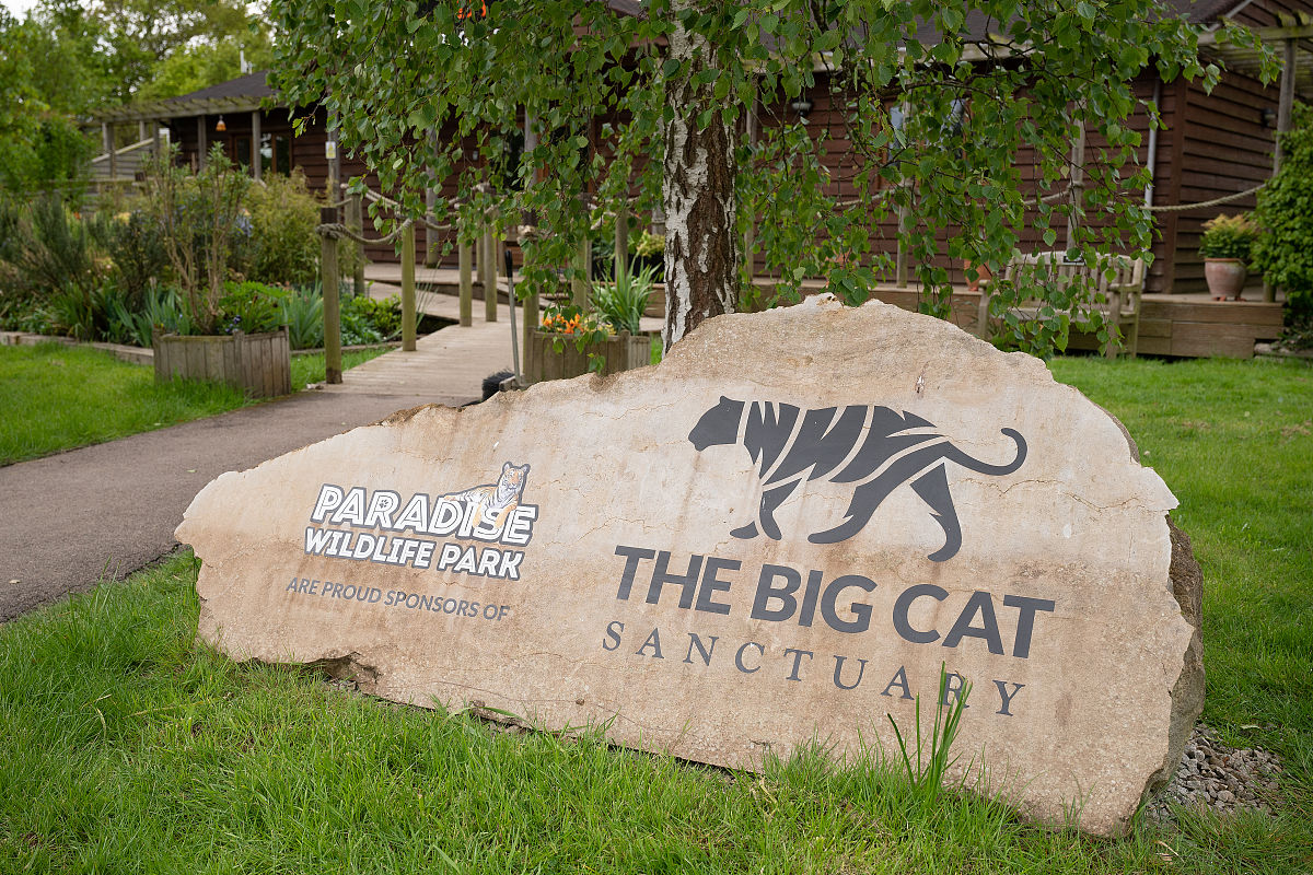 最终庇护所手游更新日志 - 最新版本更新内容