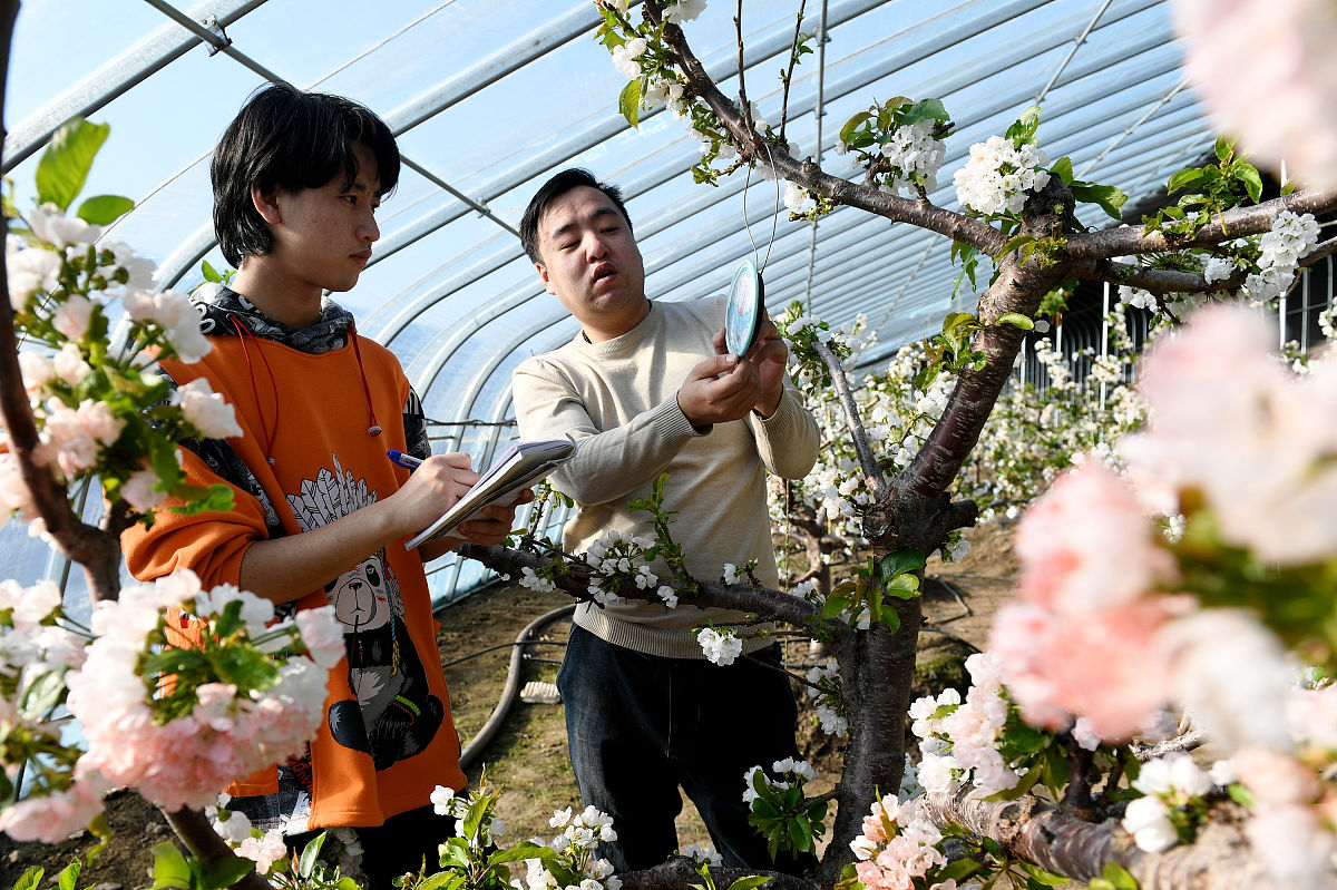 农业大棚温湿度控制系统设计方案 - 精确、高效、节能