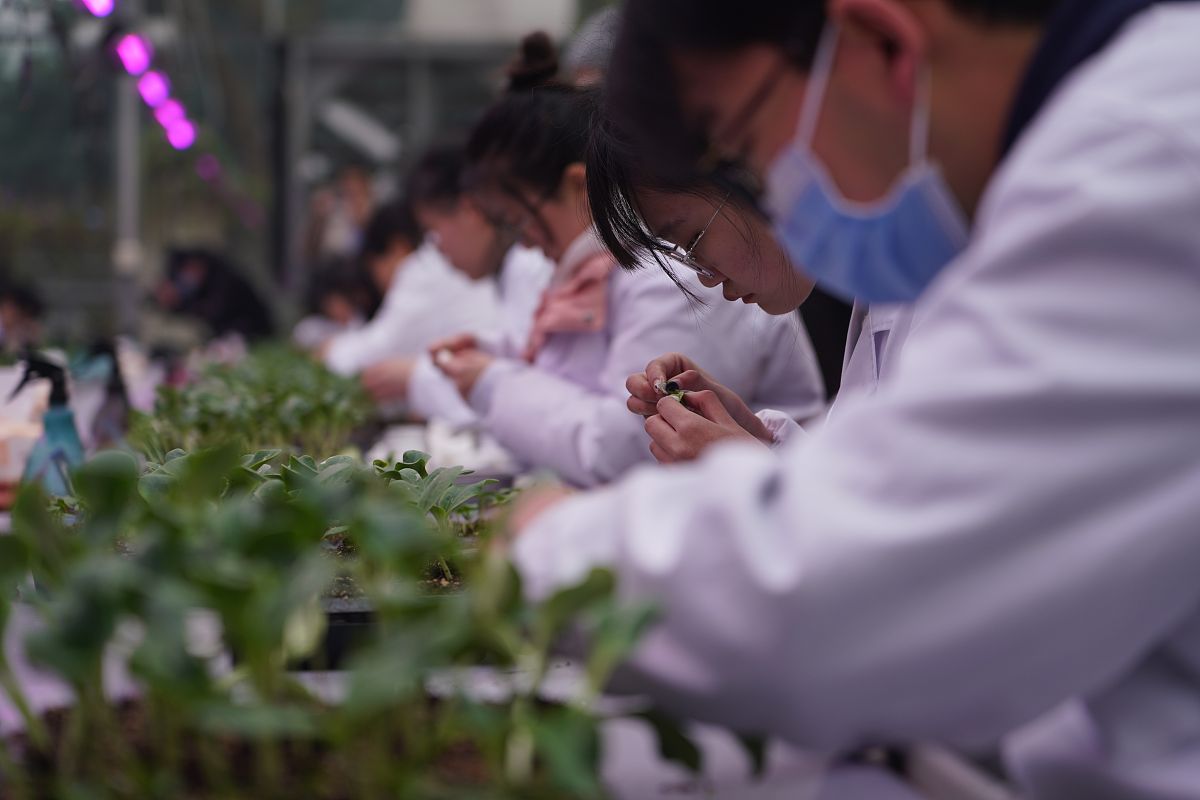 重庆园林技工学校2022年报名需要满足哪些条件