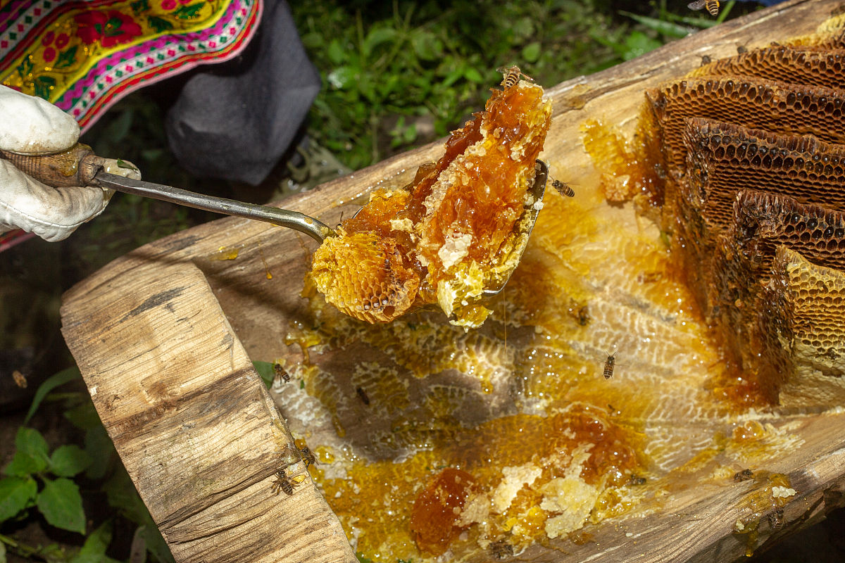 纯天然大山蜂蜜：来自山野深处的甜蜜