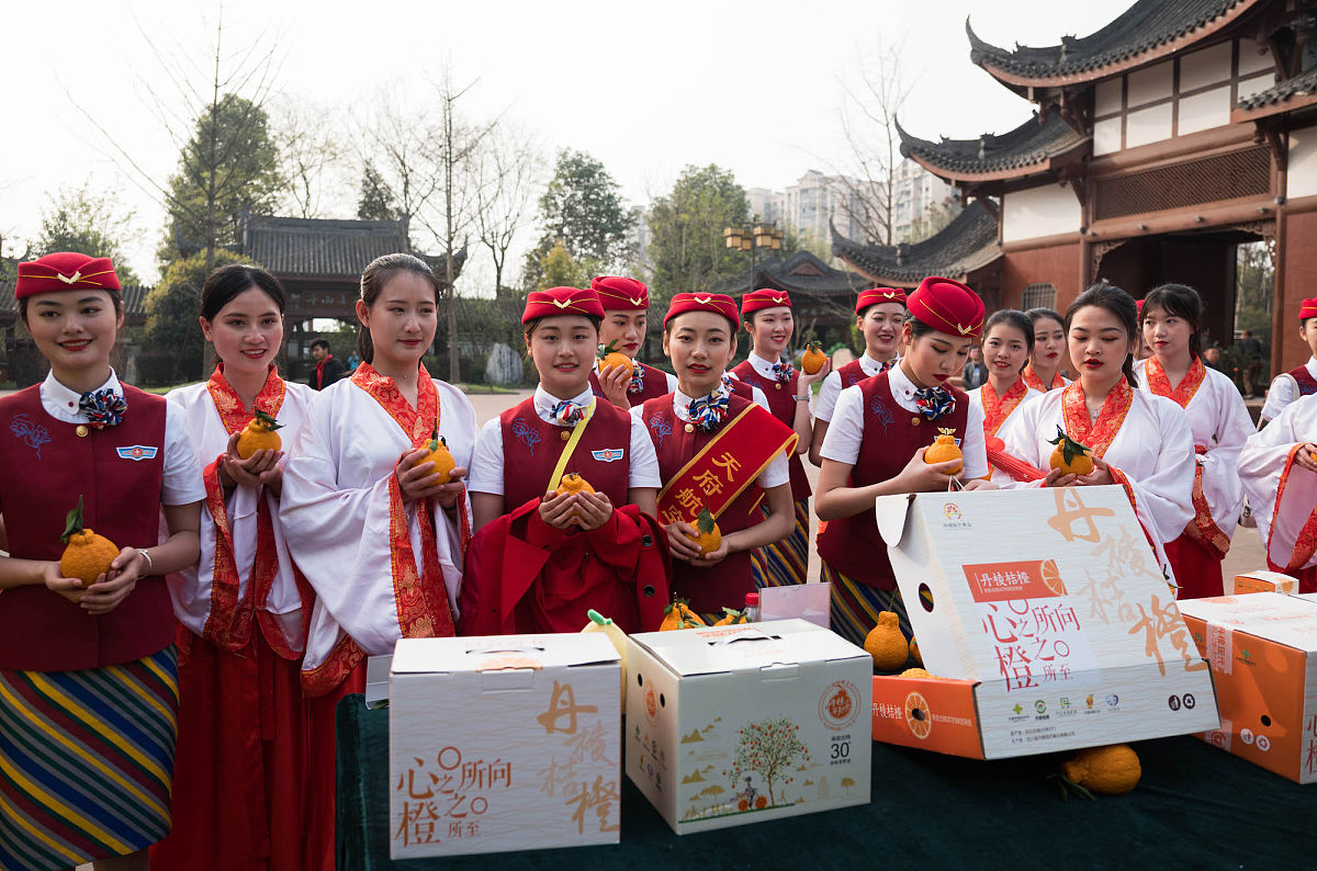 眉山航空旅游学校是公立吗