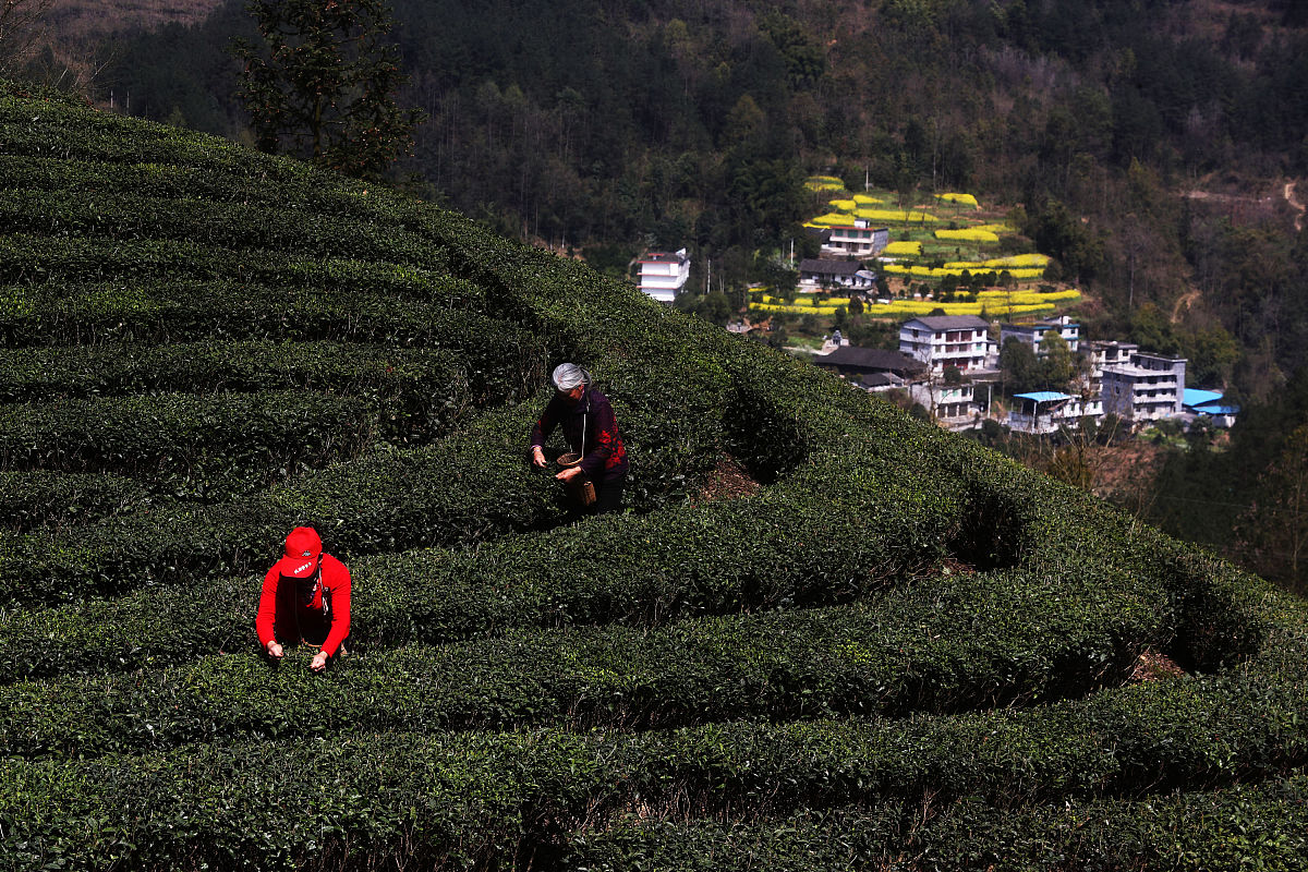 重庆广播电视中等专业学校农村经济综合管理专业怎么样
