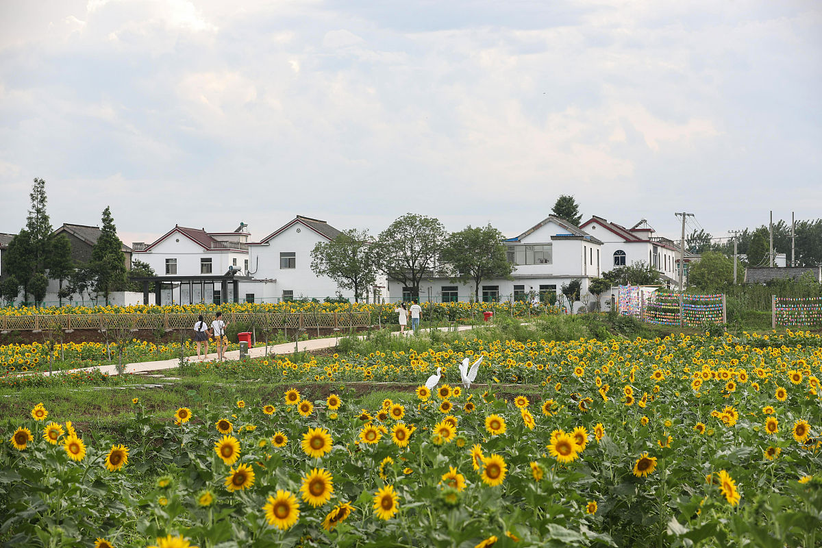 仪征技师学院2022年招生简章 - 优质职业教育选择