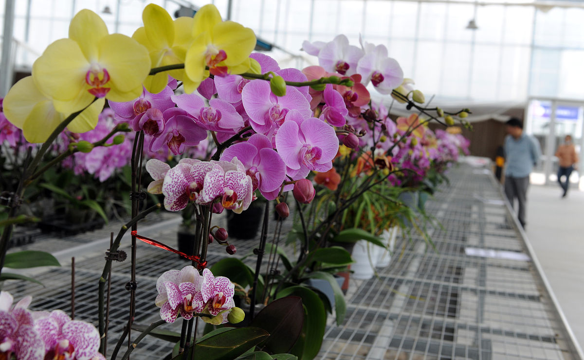 十堰医学科技学校2021年招生专业介绍 - 报考指南