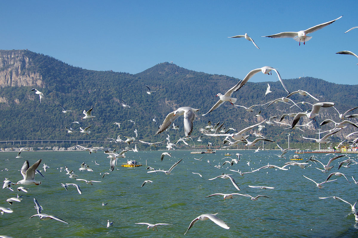 昆明高级技工学校2022年招生简章 - 报名时间,专业,学费