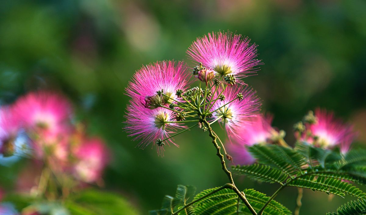 HKH能组成什么词语？25个成语全列出来！