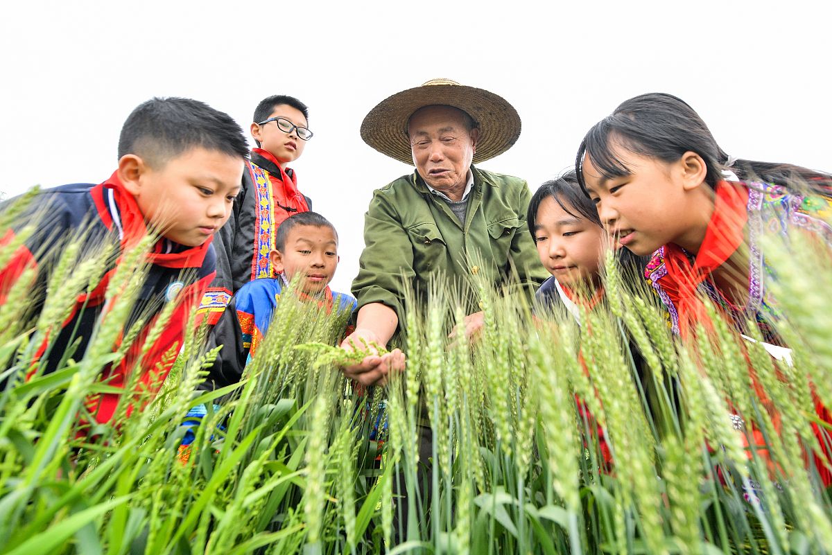 成都卫校五年制大专优势：更深入的学习、更好的就业前景
