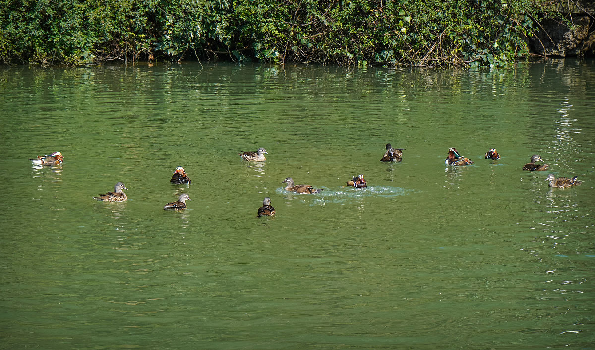 贵州黔灵山公园旅游攻略：交通、路线、注意事项、美食和住宿推荐