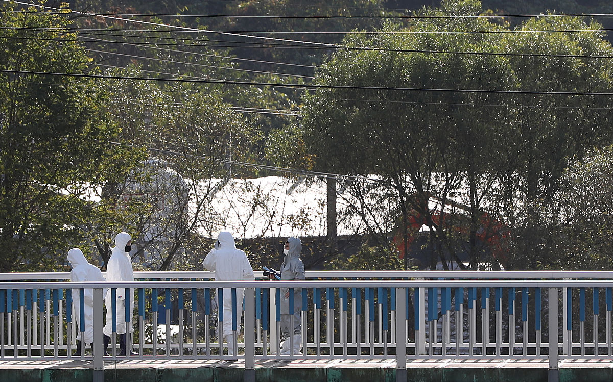 企业非洲猪瘟防控不力风险描述