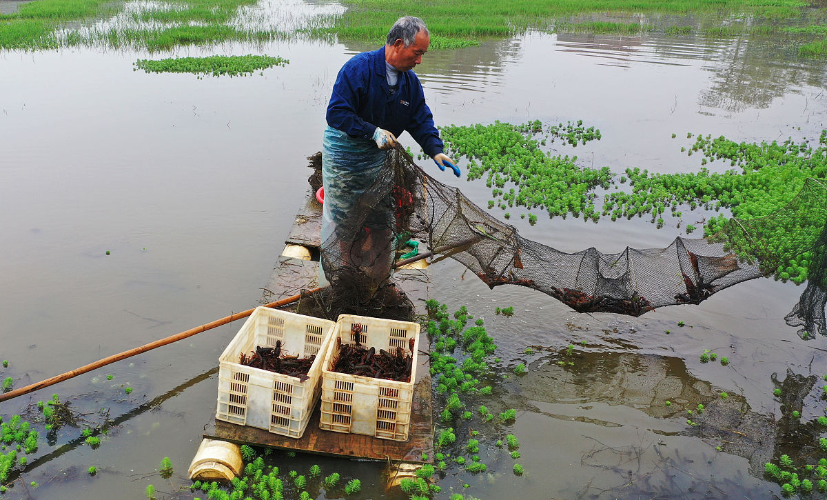 湖南应用技术学院水产养殖学专业怎么样？教学质量、就业前景及未来发展