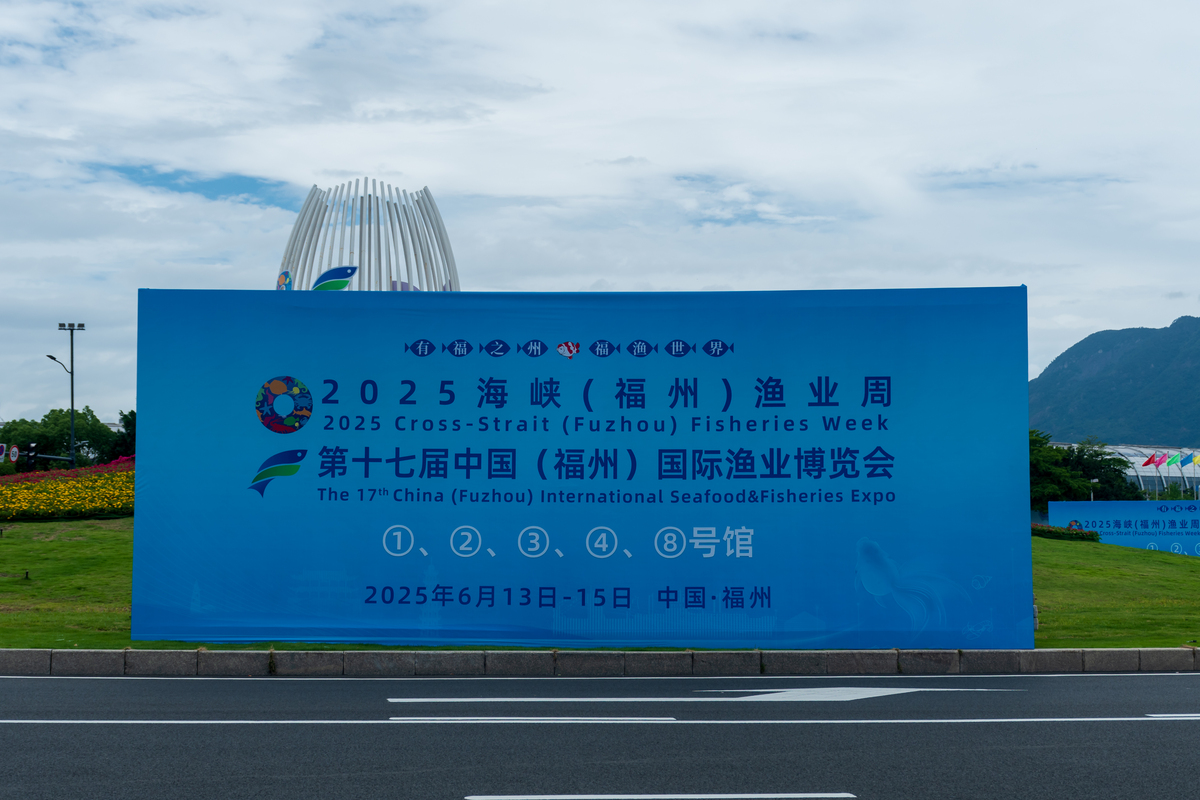 中国—东盟合作打造‘东盟制造’：优势互补，共促产业升级