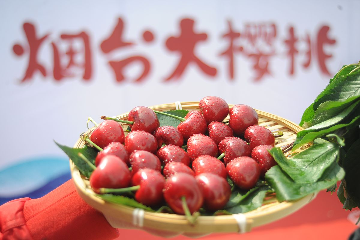 烟台职业学院市场营销专业怎么样？ - 就业前景及课程设置