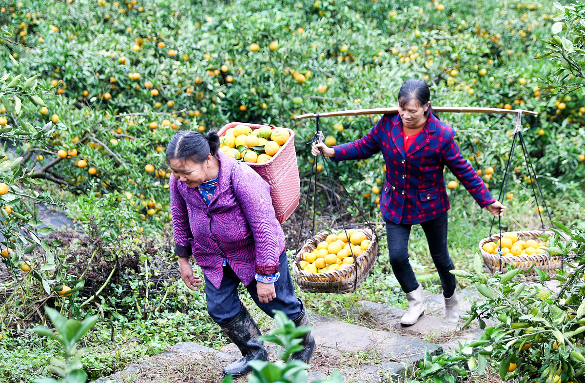 机关干部 去年以来以来个人认为最满意的工作不少于3项