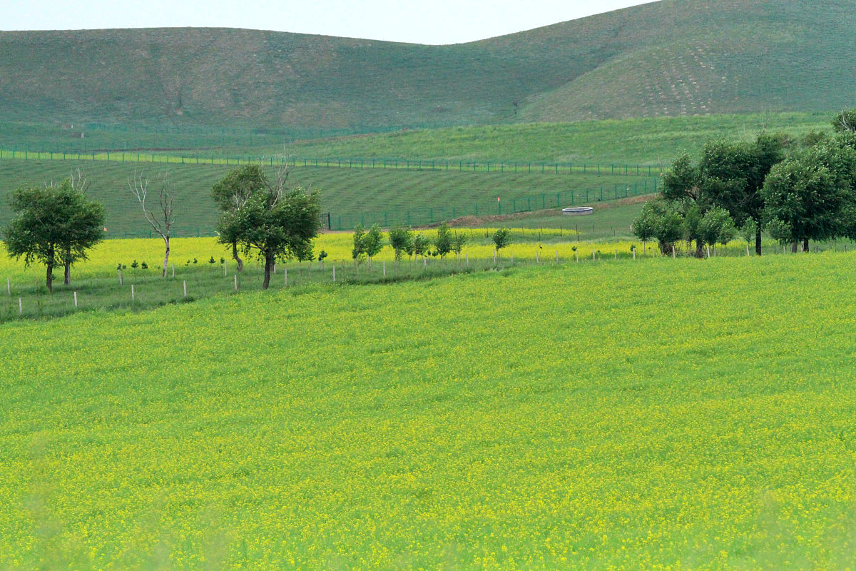 河北旅游职业学院休闲服务与管理专业怎么样都要学些什么