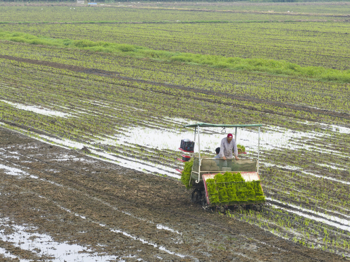 关于农村机械化种植问题的探索与思考论文