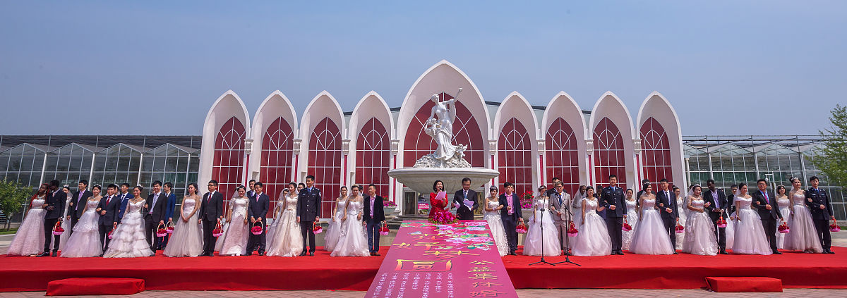 父母之命媒妁之言出自哪部典籍？ - 解读诗经名句