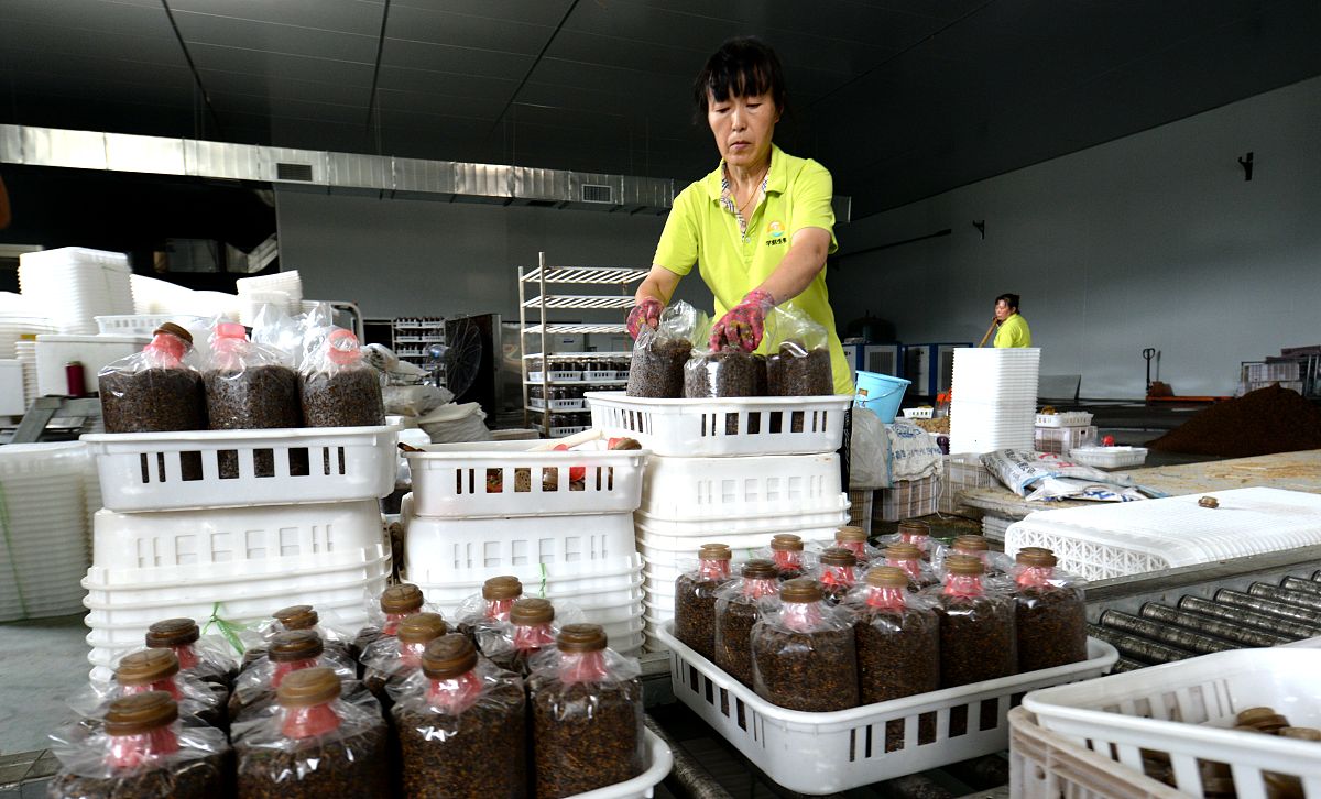 四川2022年汽修学校排名_哪家好_选择指南