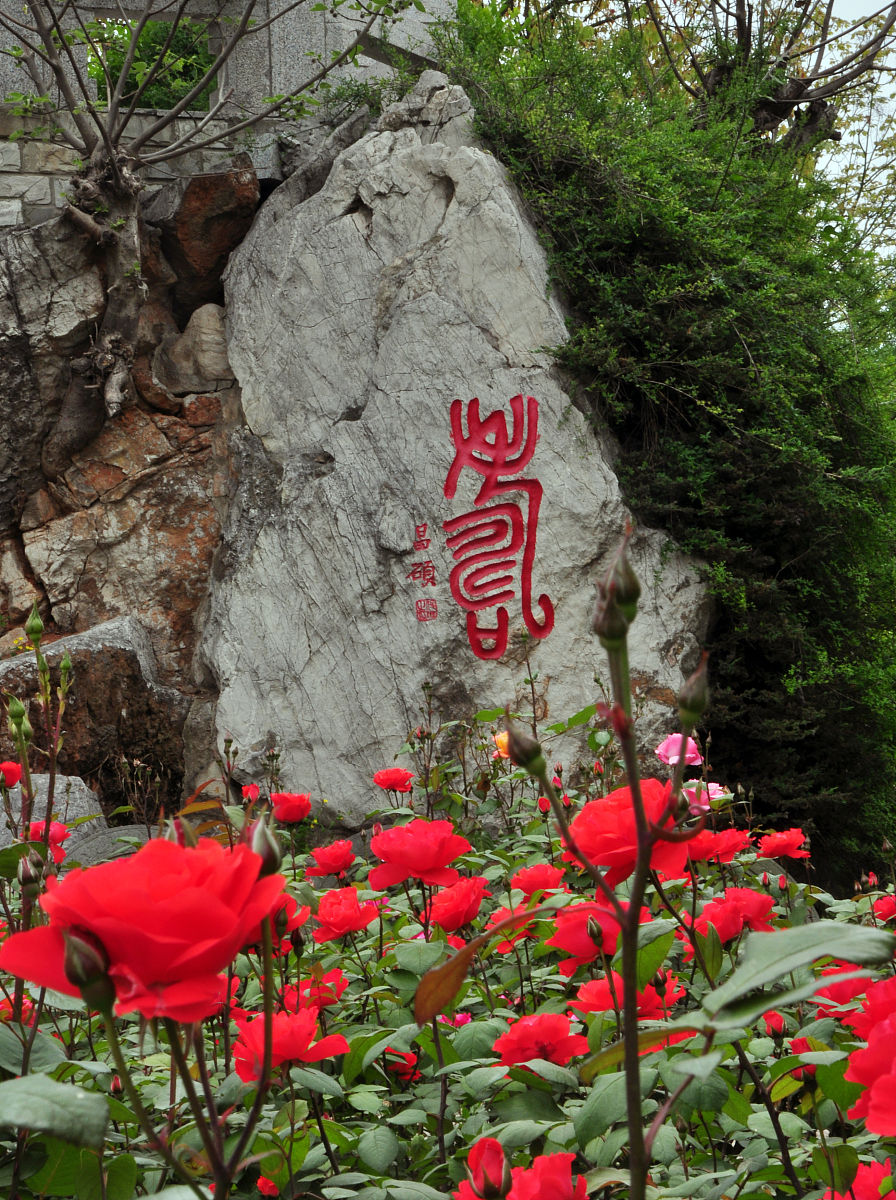 2021年5月3日,江苏省徐州市点石园,吴昌硕书法.