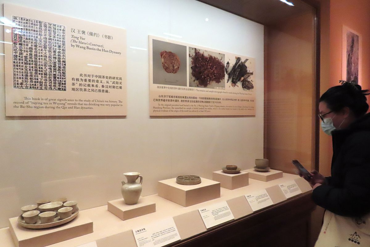 萍乡博物馆观后感：历史、世界与自我