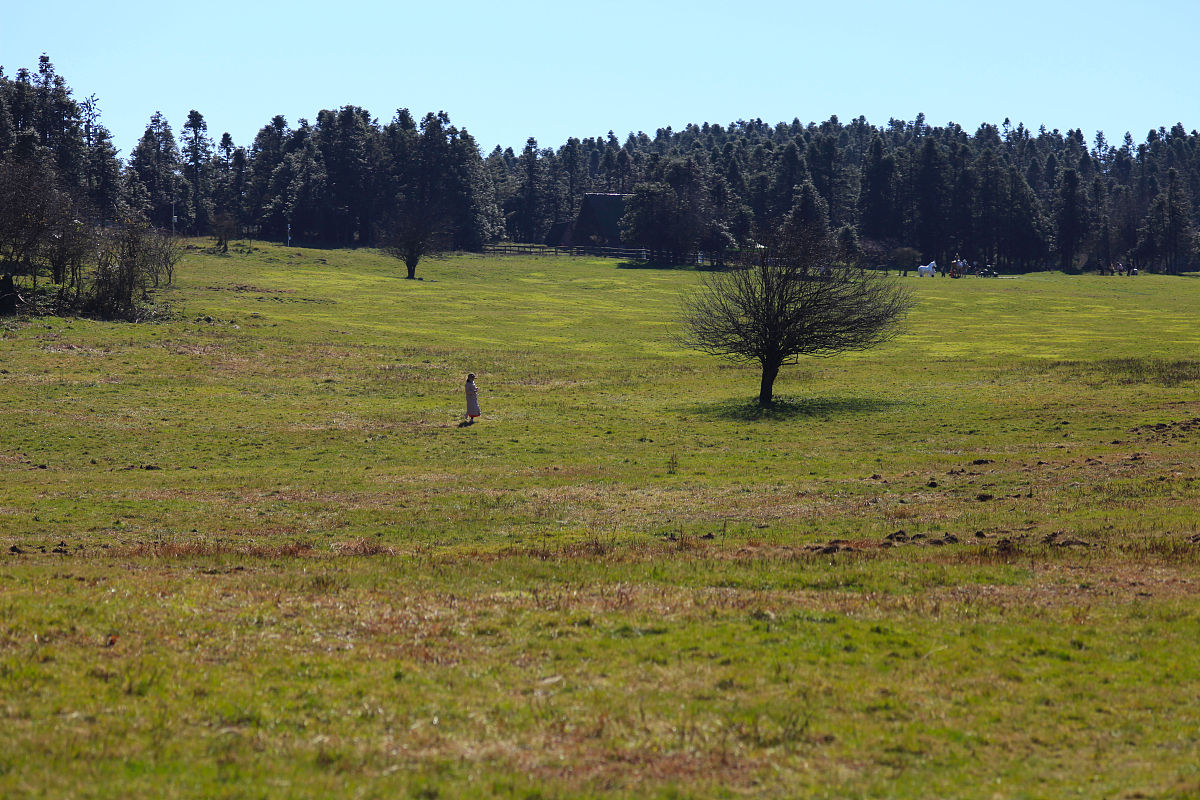 四川绵阳哪里好玩
