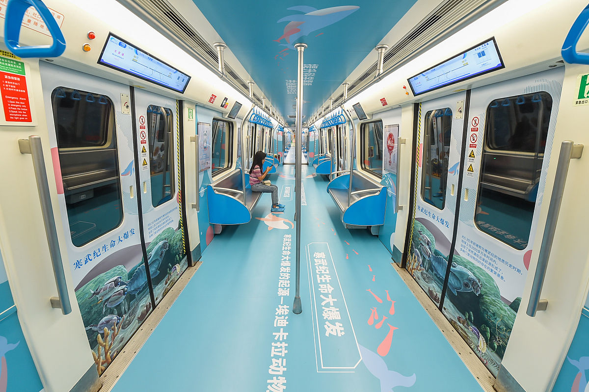 (如需下载使用,请务必署名 红星新闻 王欢/视觉中国)2020年8月31日,成