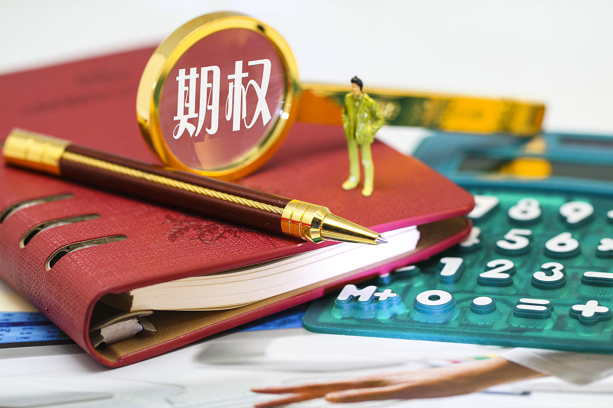 认购和认沽期权：定义、机制和应用