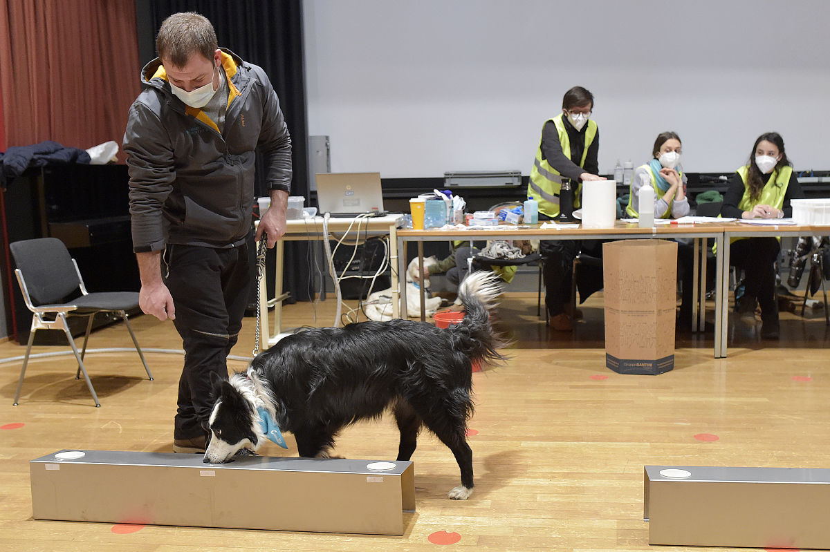 乳腺癌术后多发性转移合并新冠感染护理专题报告