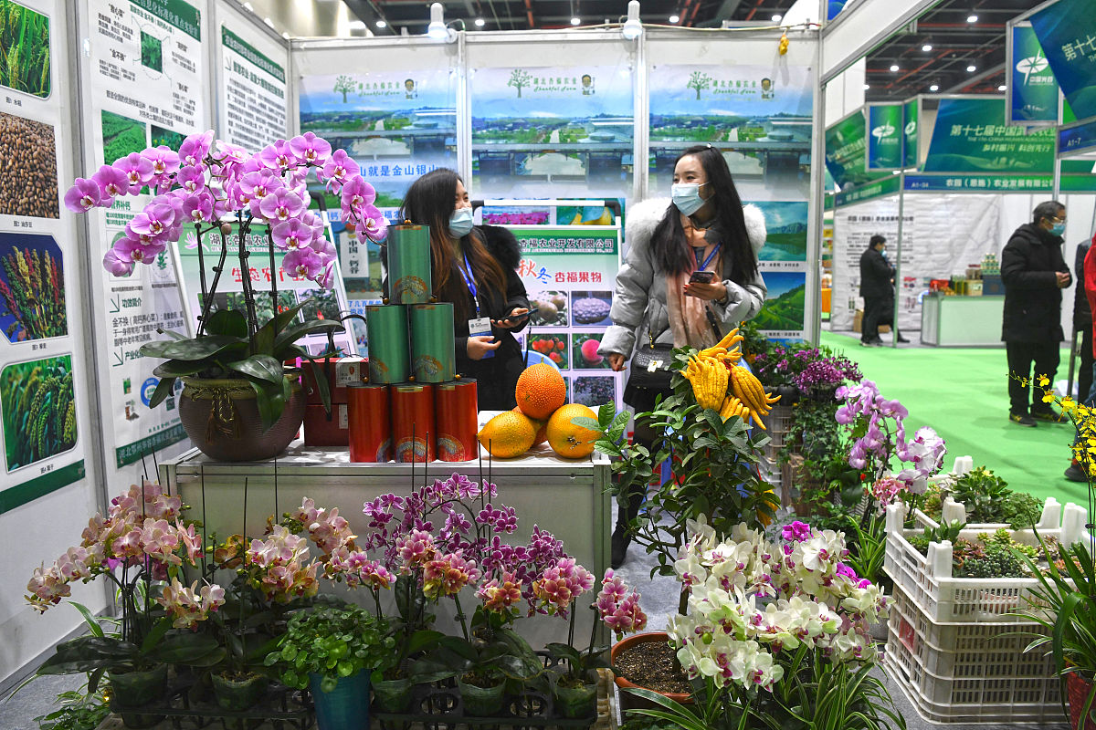 云南曲靖农业学校五年制大专招生 | 培养农业人才，助力乡村振兴