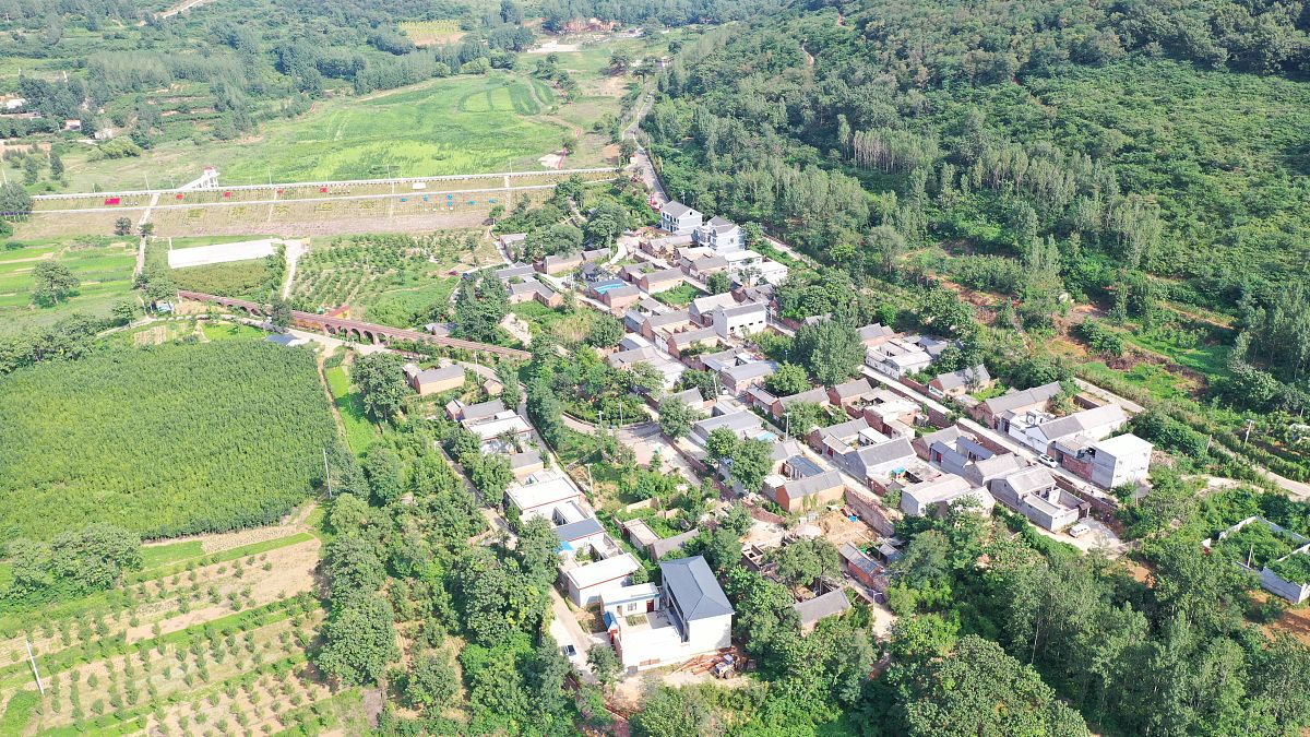 降低论文重复率：中国农村人居环境研究概述