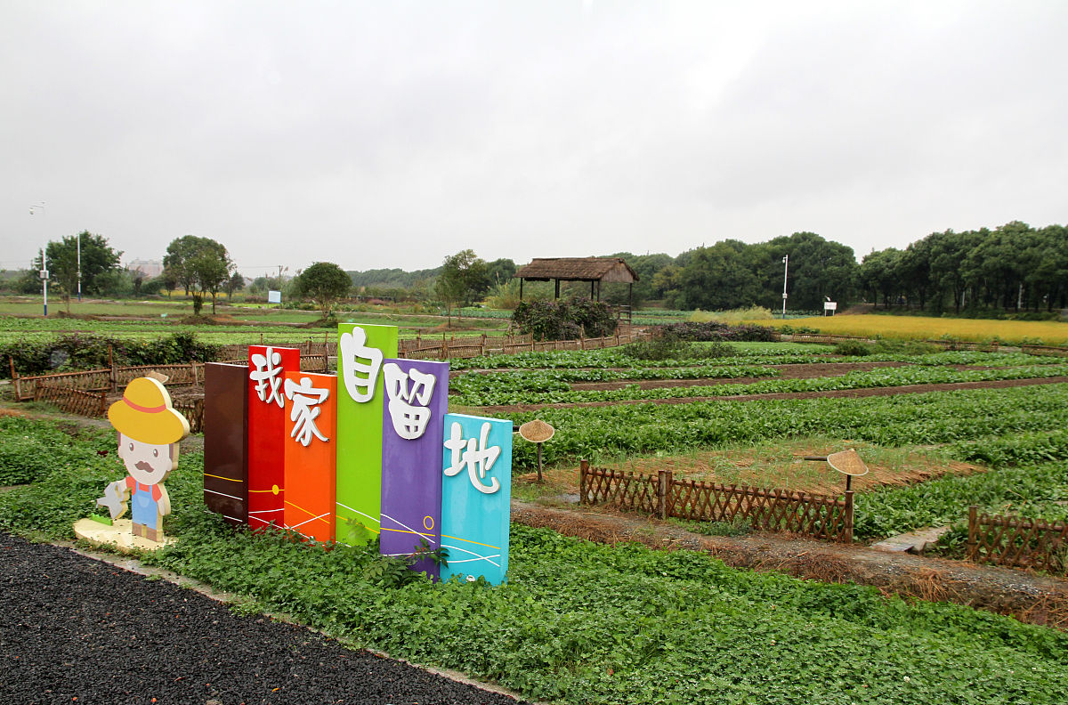 农旅融合模式探析：定义、原理、案例与发展策略