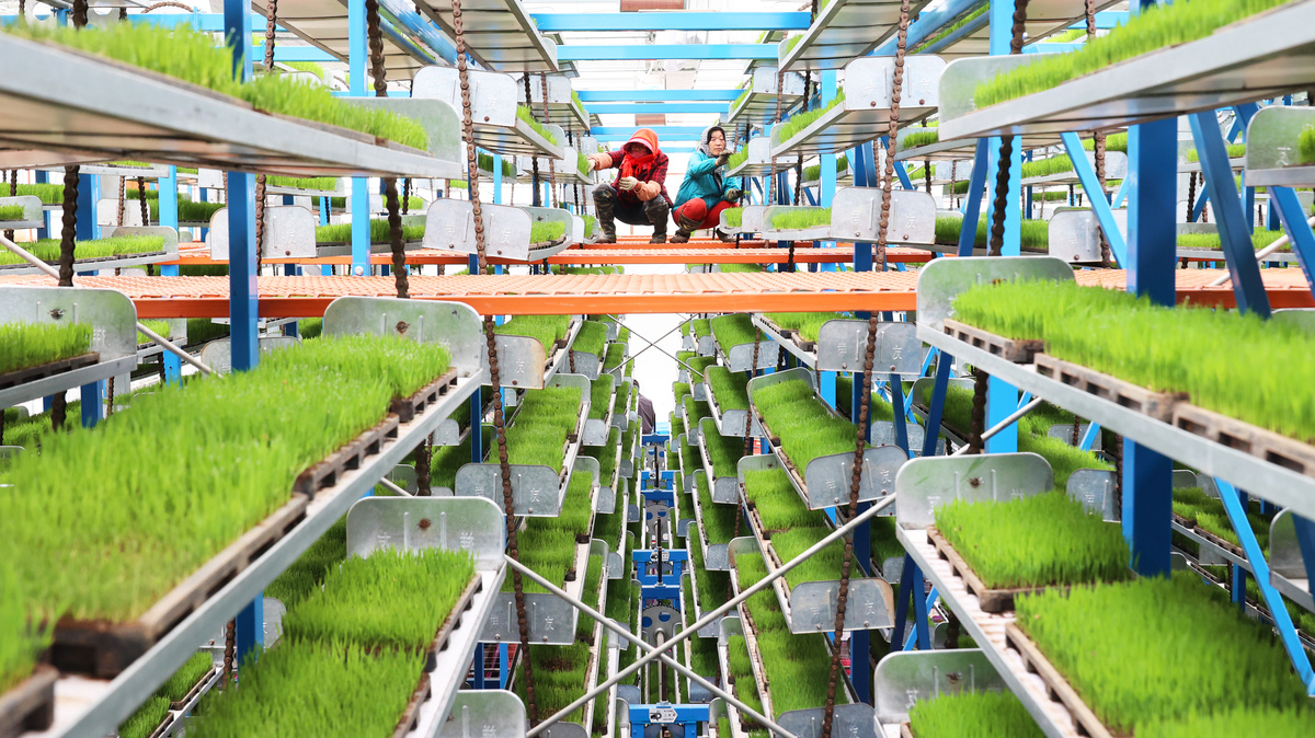 人工智能赋能新农业：未来发展趋势与思考