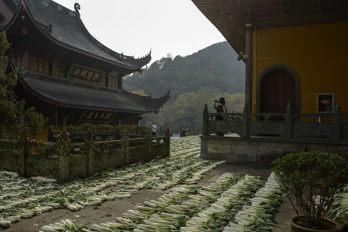 结合以上数据推荐一条杭州3日自驾游路线格式和上述一样