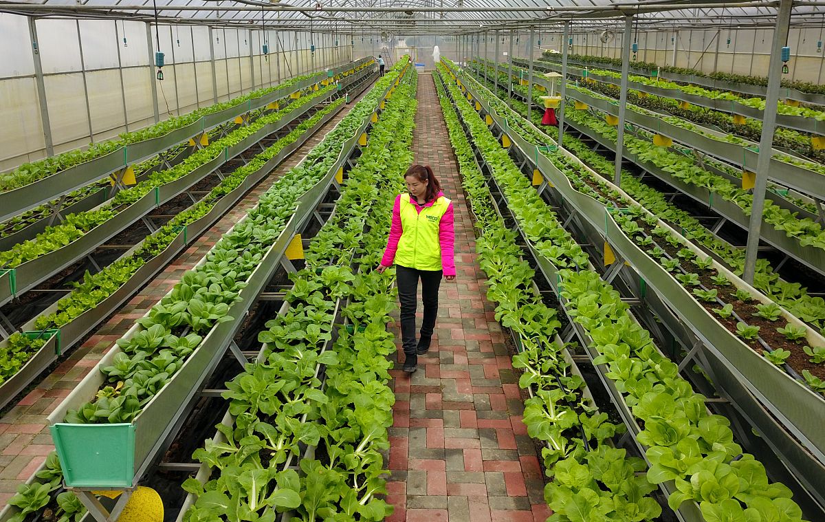 贵州现代经济学校2023年招生简章：培养未来经济学人才