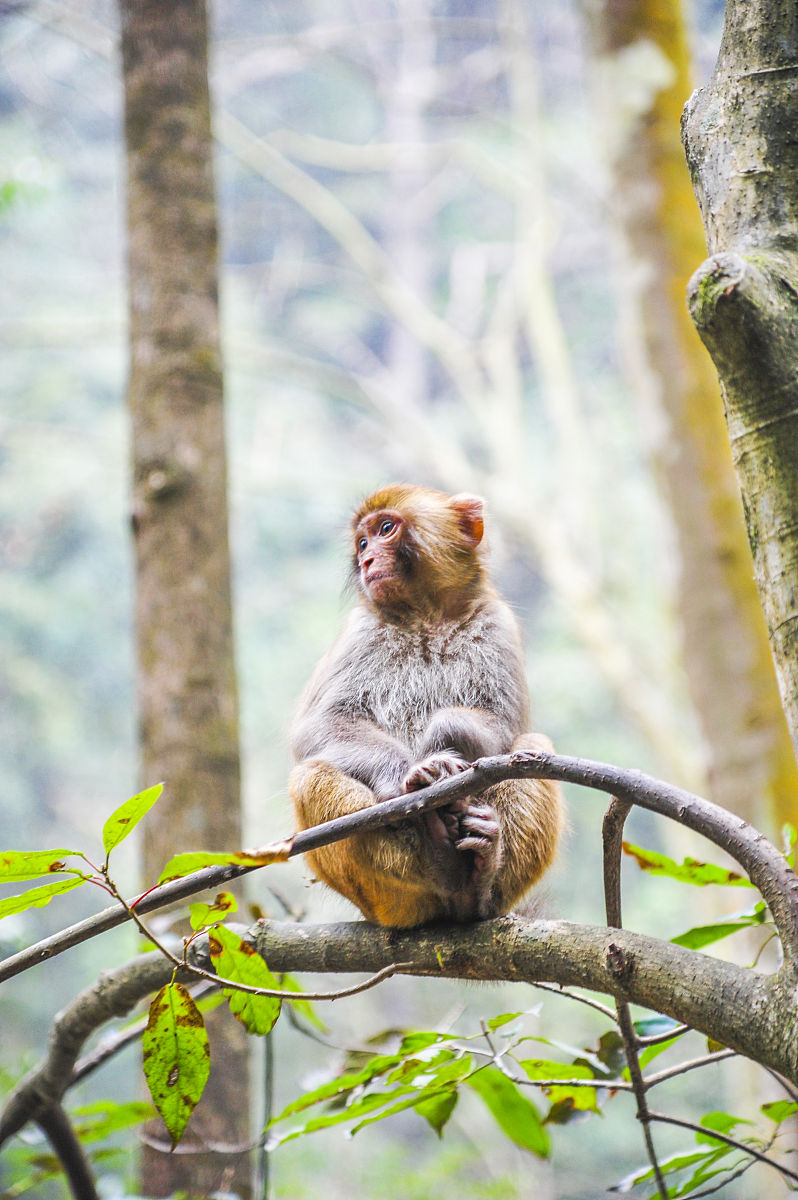 手机意外摔碎，急需您的帮助！
