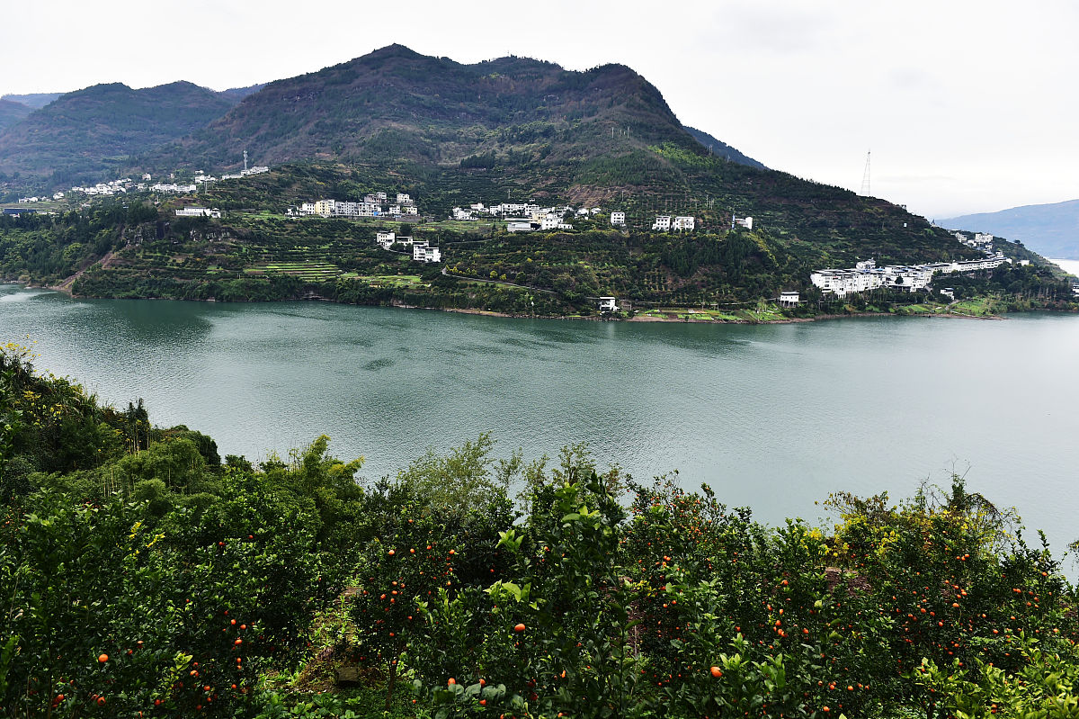 重庆高职院校排名top5用发