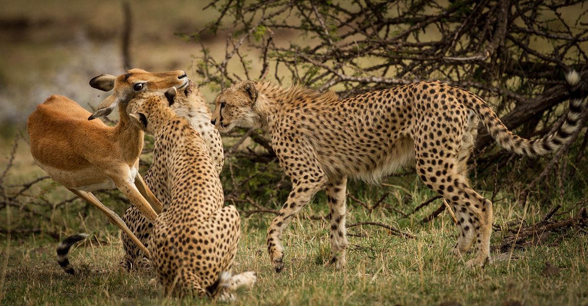 我们只能留在原地等待改为双重否定句